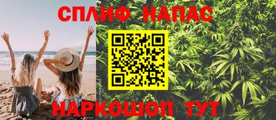 бошки Будённовск