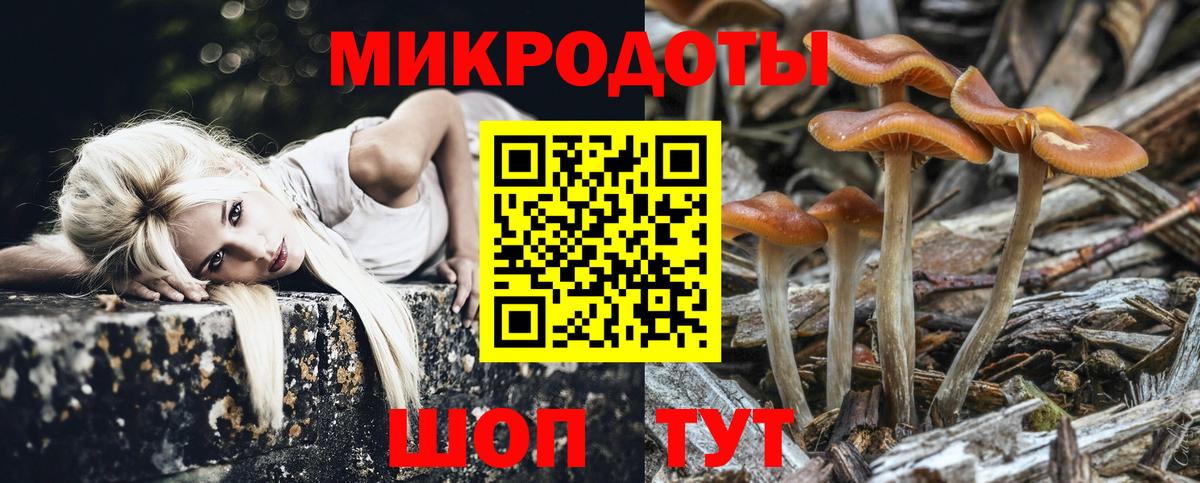 Бахчисарай  Псилоцибиновые грибы Psilocybe  Галлюциногенные грибы MAGIC MUSHROOMS  Вход с VPN 