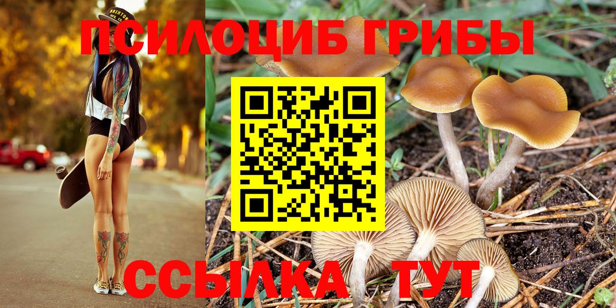 Галлюциногенные грибы Psilocybe Бахчисарай